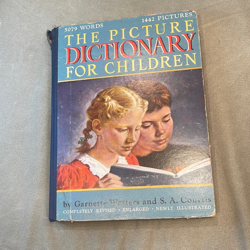 Vintage Picture Dictionary for Children